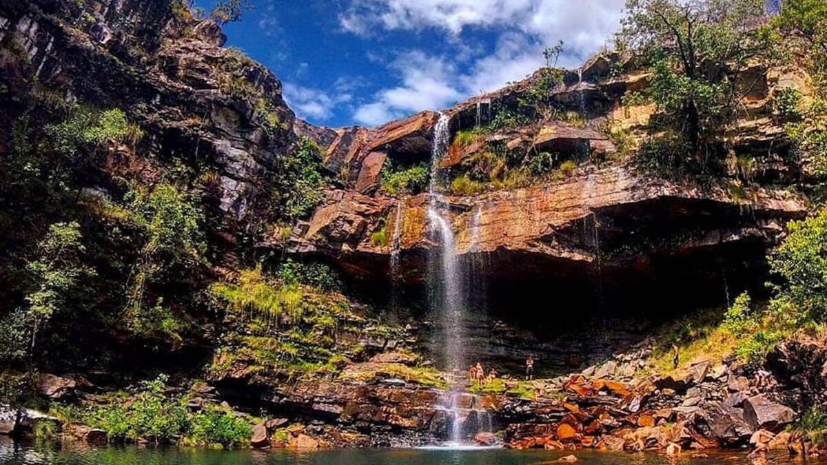 Criança atacada por onça-parda na Chapada passa por cirurgia e segue estável
