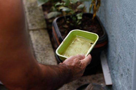Bahia Reduz Casos de Dengue em 41% com Medidas Preventivas