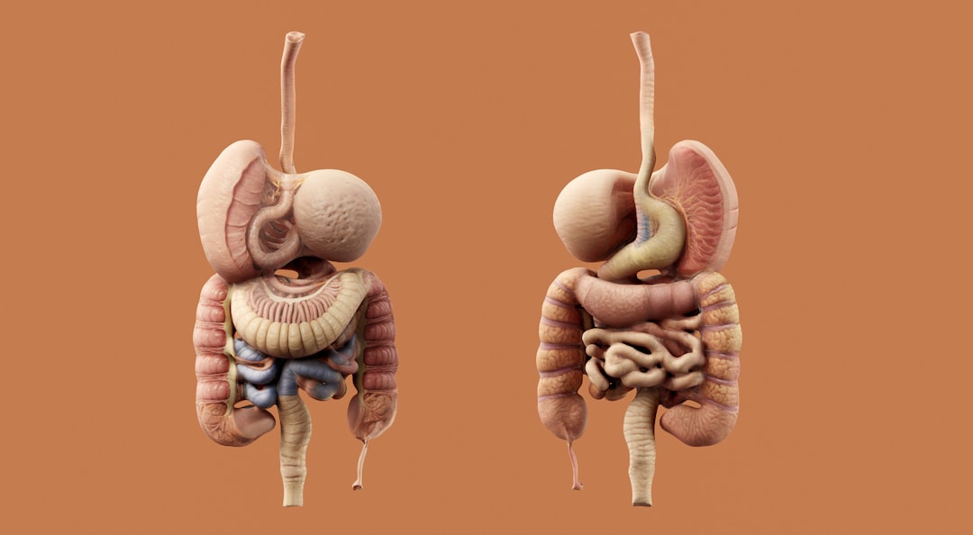 Diarreia e dor abdominal alertam para doenças intestinais graves
