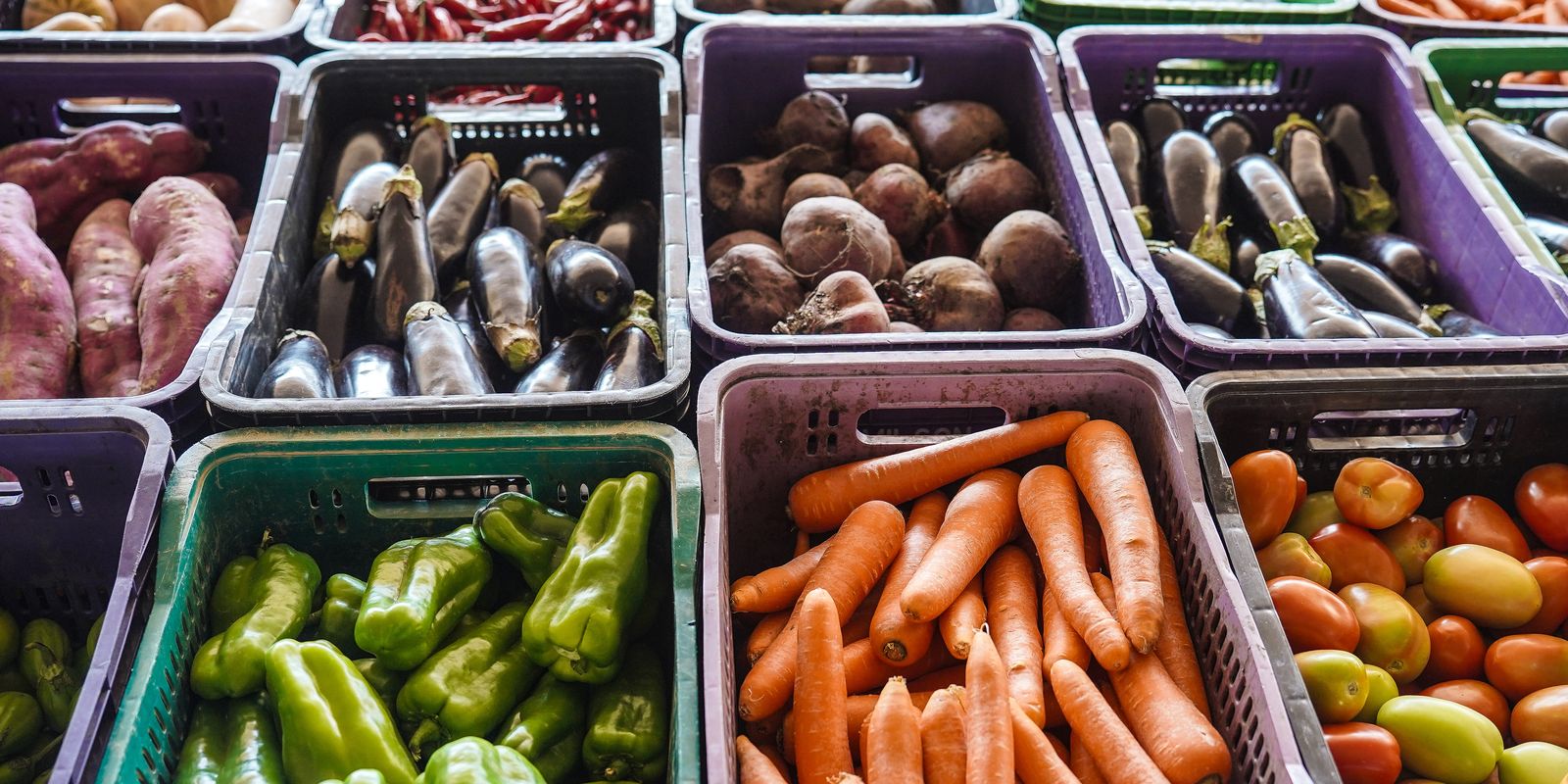 Incavoluntário reforça apoio nutricional a pacientes vulneráveis